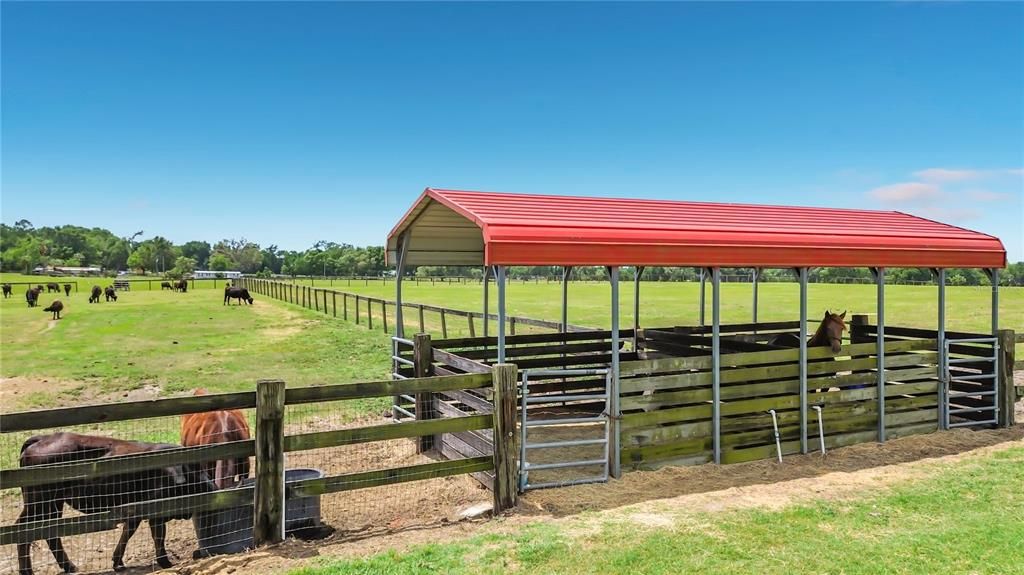 На продажу: $1,200,000 (16.70 acres)