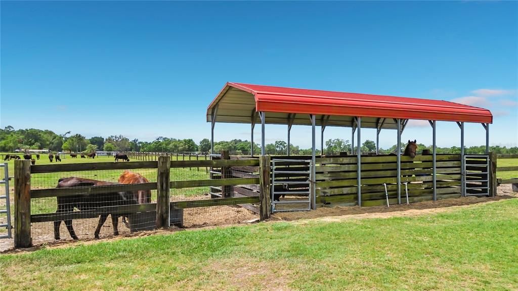 На продажу: $1,200,000 (16.70 acres)