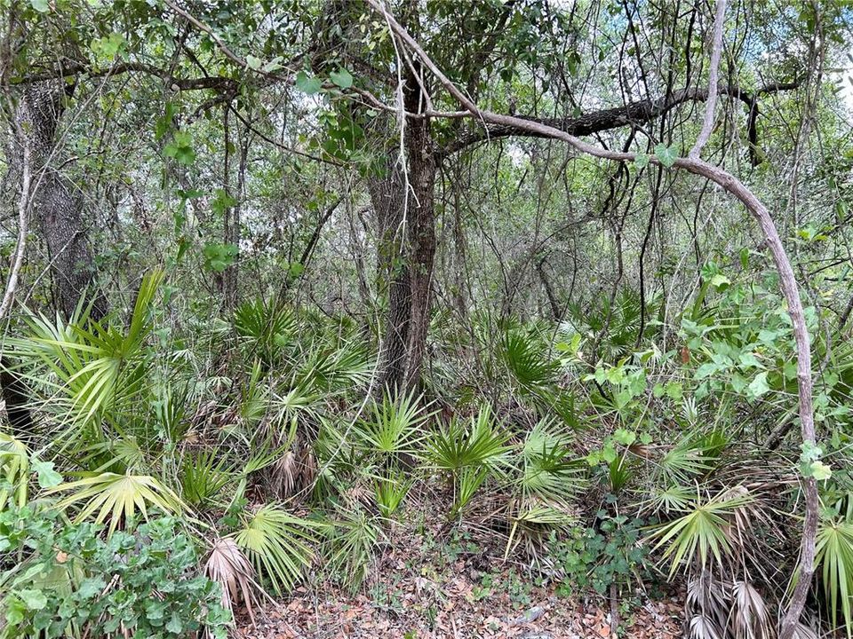 For Sale: $105,000 (4.77 acres)