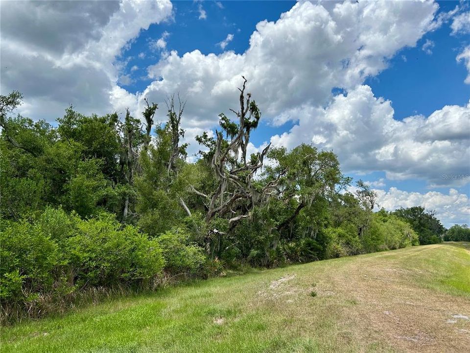 For Sale: $105,000 (4.77 acres)
