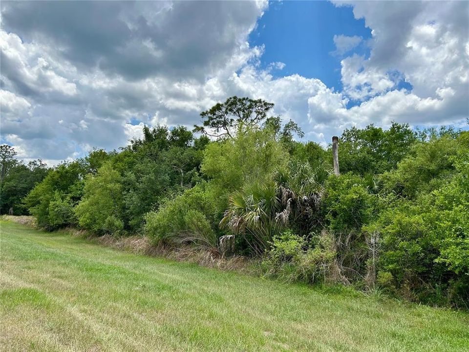 For Sale: $105,000 (4.77 acres)