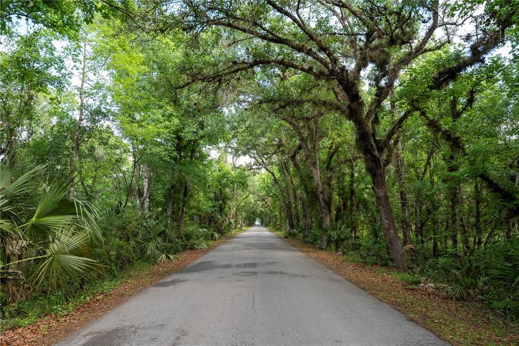待售: $320,000 (10.67 acres)