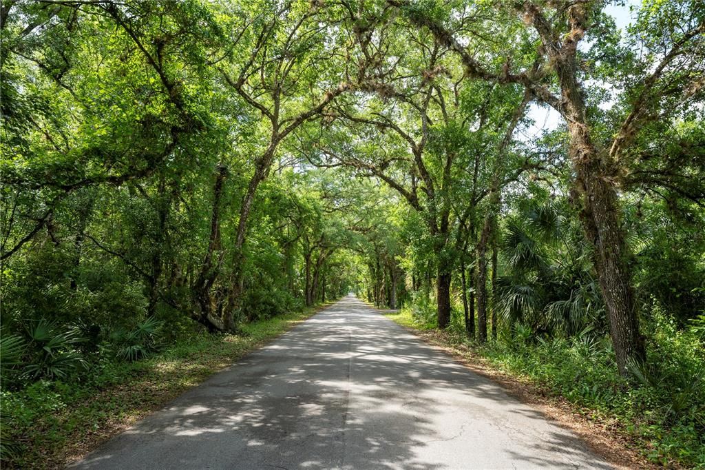 待售: $320,000 (10.67 acres)