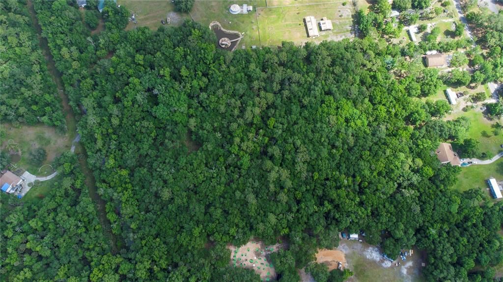 待售: $320,000 (10.67 acres)