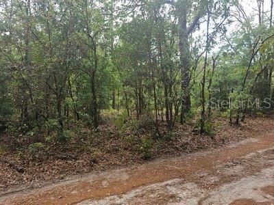 Под контрактом: $45,000 (1.12 acres)