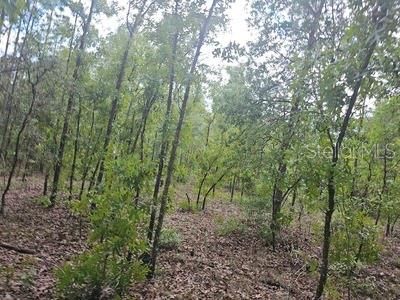 Под контрактом: $45,000 (1.12 acres)