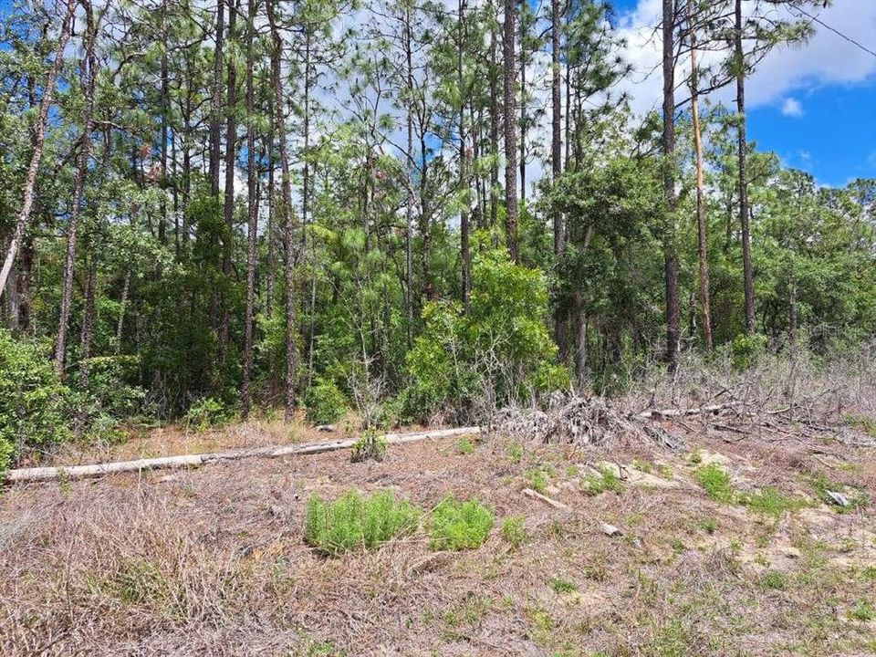 For Sale: $74,900 (1.14 acres)