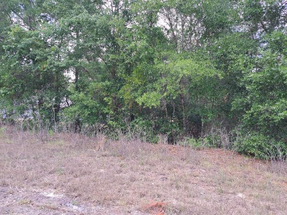 For Sale: $74,900 (1.14 acres)