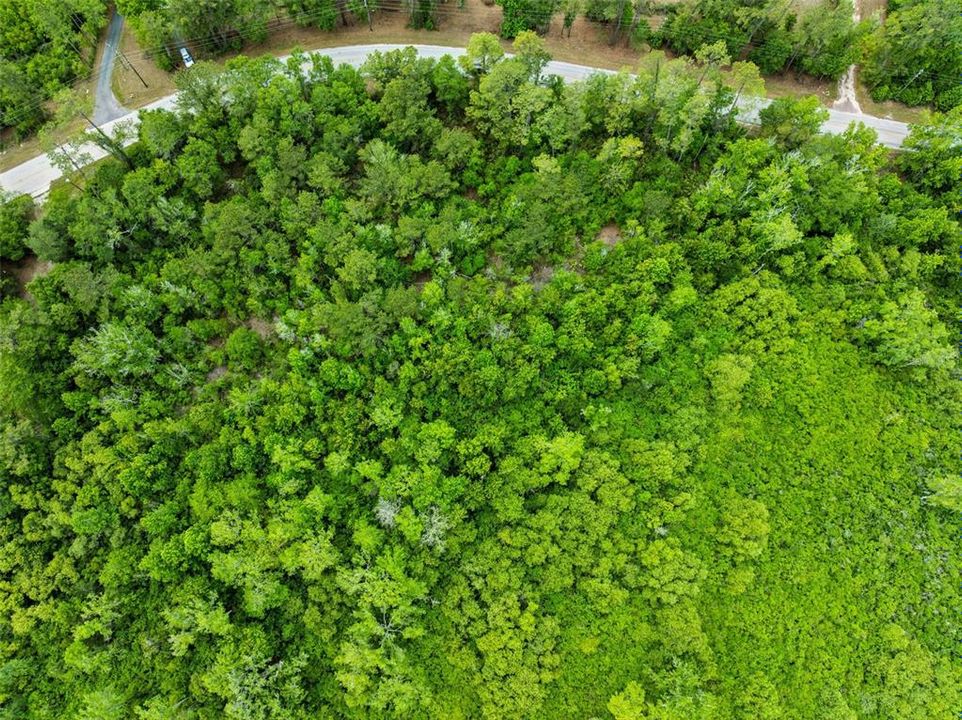 En Venta: $251,000 (6.35 acres)