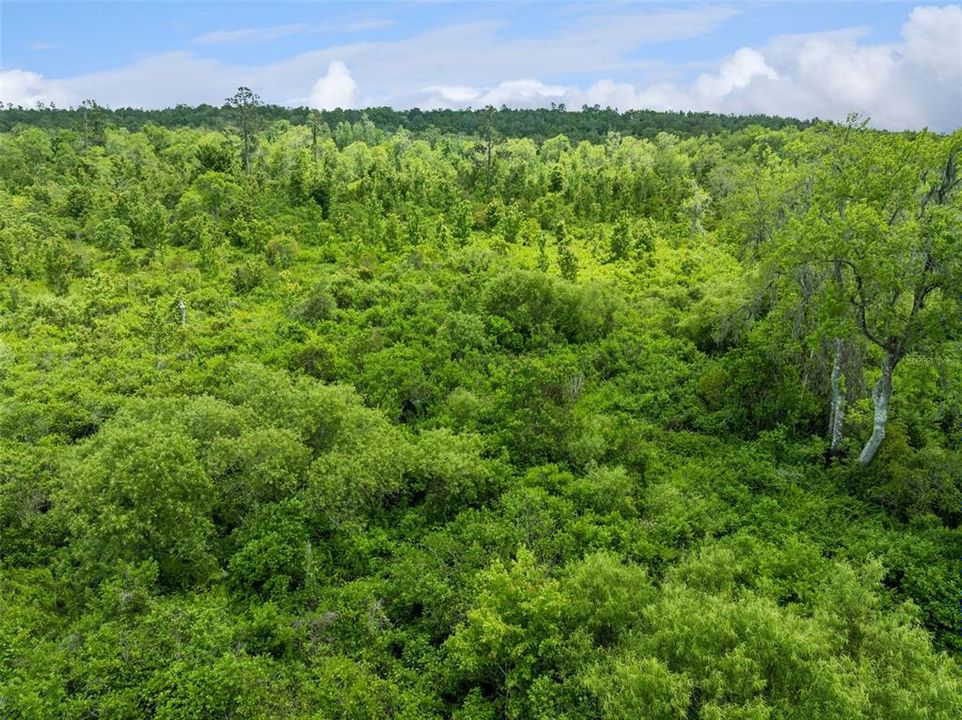 En Venta: $251,000 (6.35 acres)
