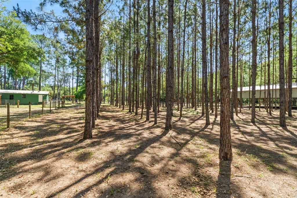 For Sale: $1,250,000 (3 beds, 2 baths, 1800 Square Feet)