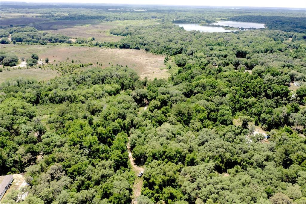 For Sale: $90,000 (8.89 acres)