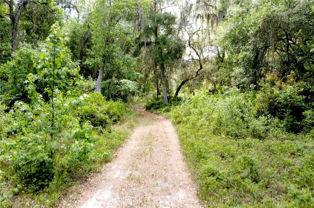 For Sale: $90,000 (8.89 acres)