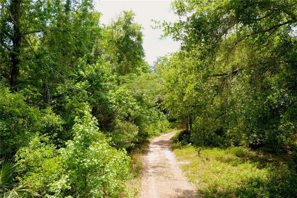 For Sale: $90,000 (8.89 acres)