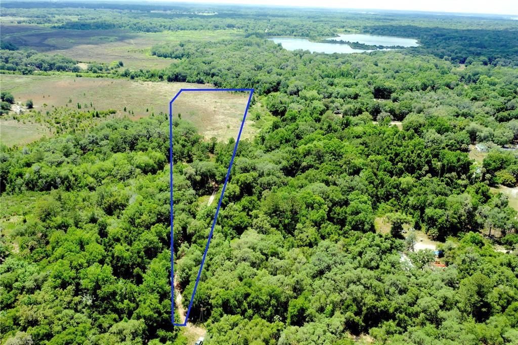 For Sale: $90,000 (8.89 acres)