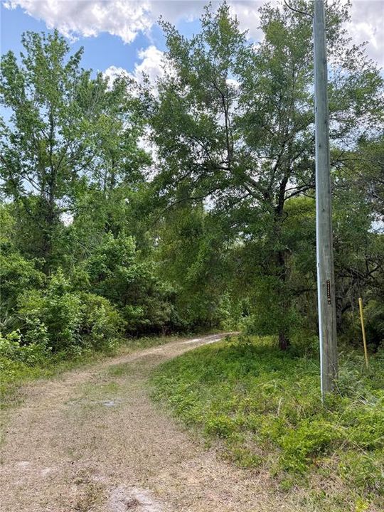 For Sale: $90,000 (8.89 acres)