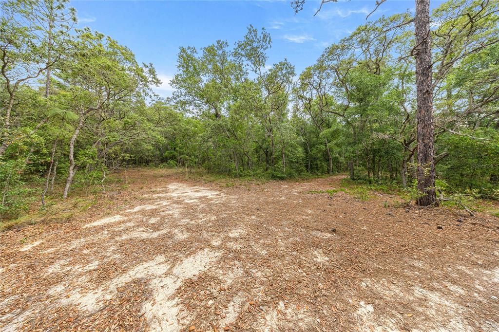 For Sale: $550,000 (1 beds, 1 baths, 477 Square Feet)
