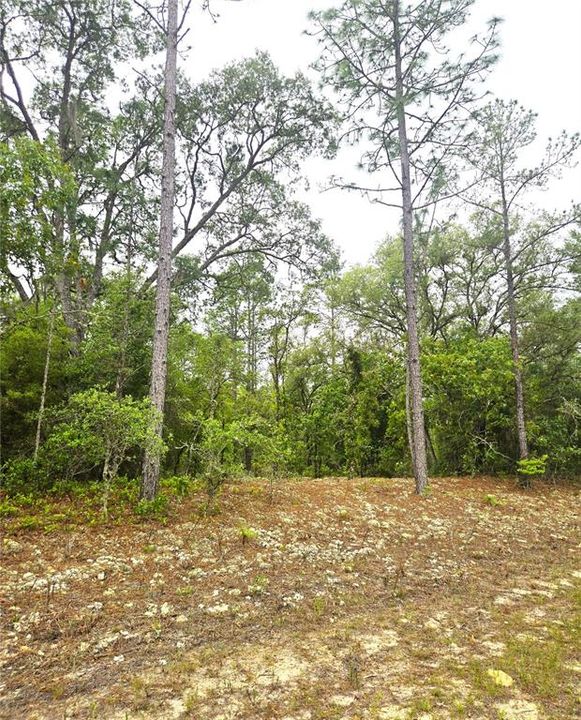 待售: $27,000 (0.46 acres)