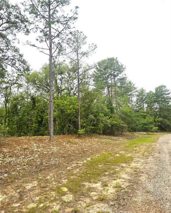 待售: $27,000 (0.46 acres)