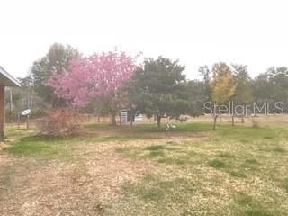 En Venta: $1,600,000 (0 camas, 0 baños, 2624 Pies cuadrados)