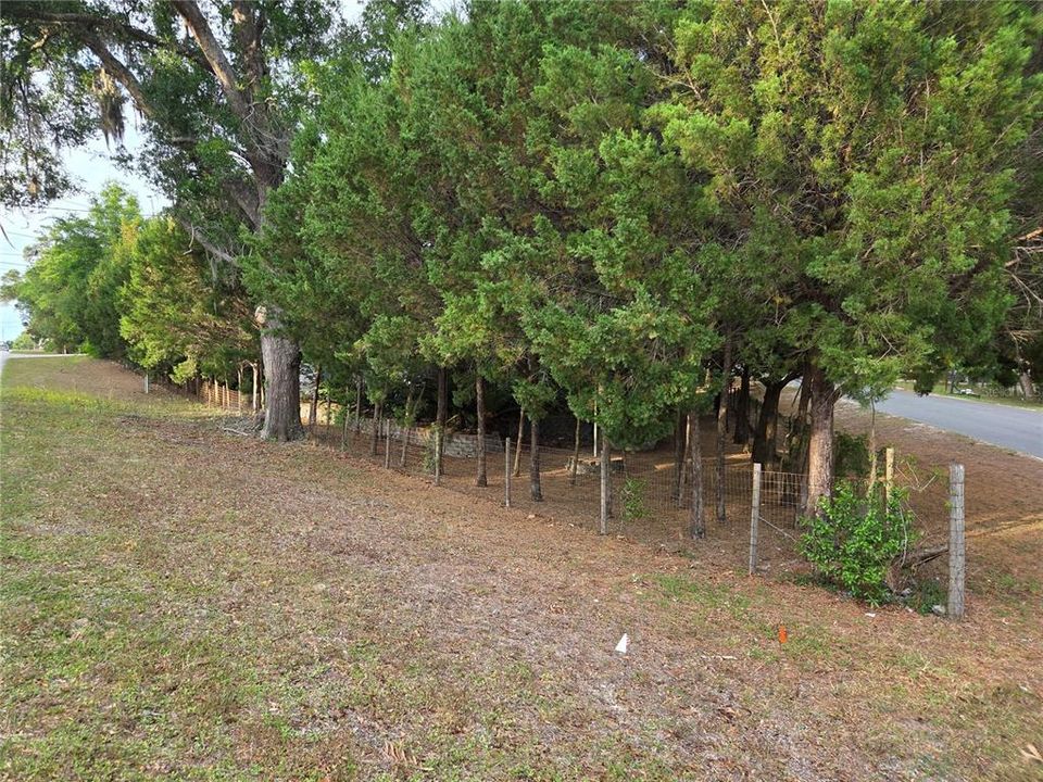For Sale: $265,000 (3 beds, 2 baths, 1512 Square Feet)