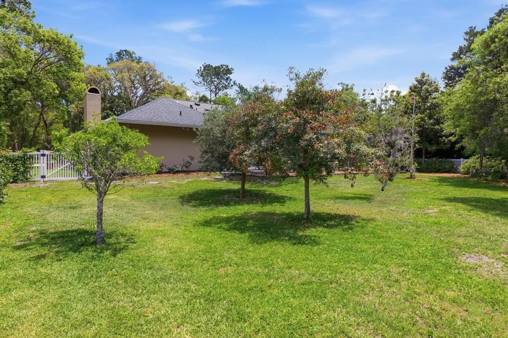 Activo con contrato: $599,000 (3 camas, 3 baños, 3000 Pies cuadrados)