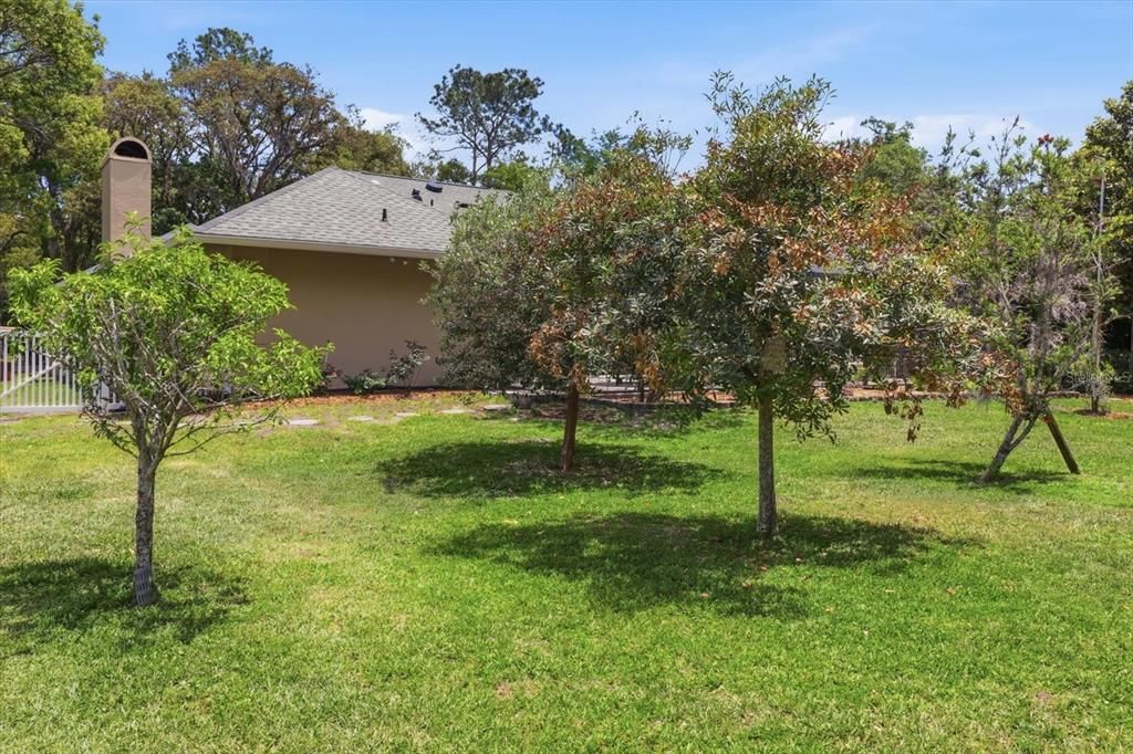 Activo con contrato: $599,000 (3 camas, 3 baños, 3000 Pies cuadrados)
