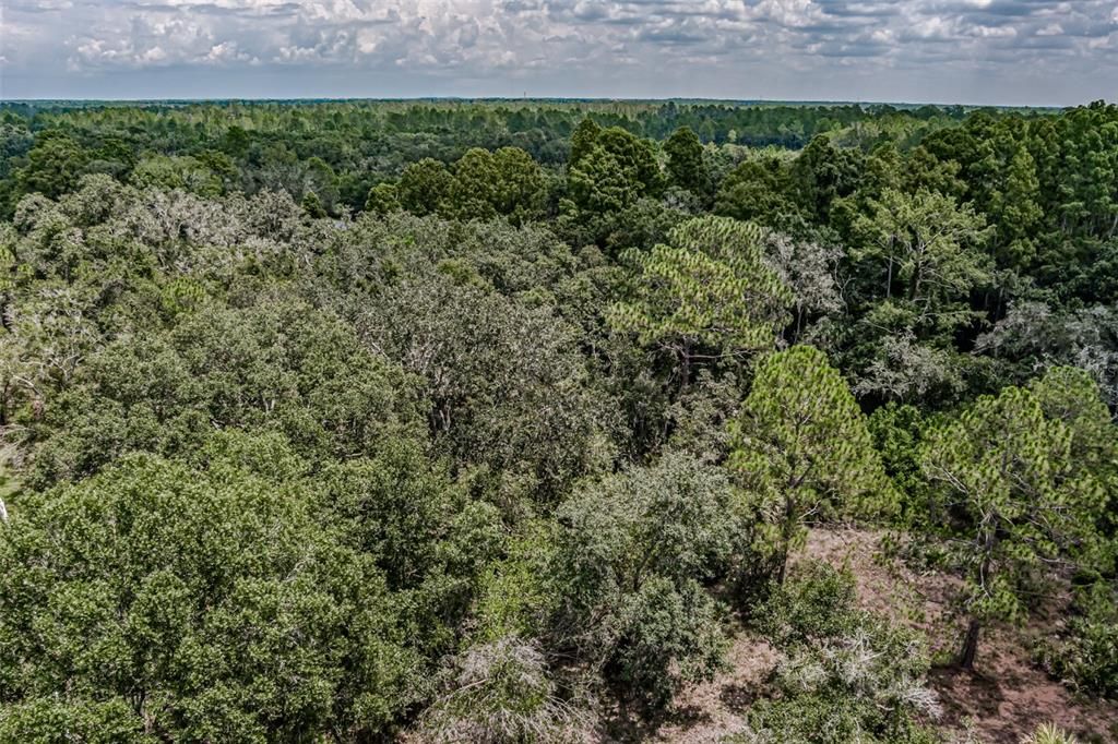 待售: $175,000 (2.81 acres)
