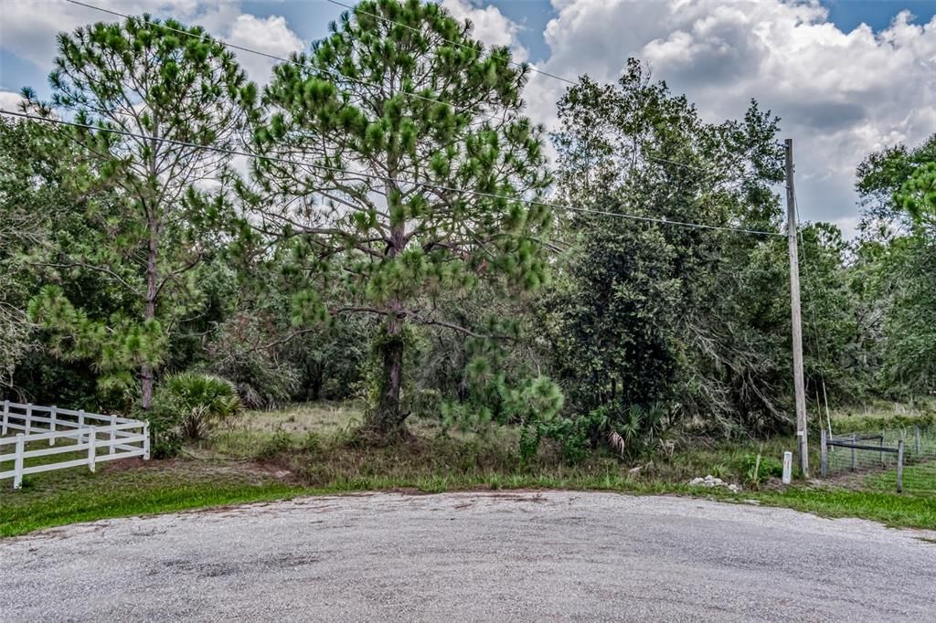 待售: $175,000 (2.81 acres)