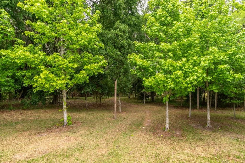 На продажу: $1,189,000 (4 спален, 2 ванн, 2581 Квадратных фут)