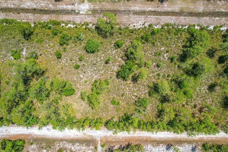 En Venta: $19,500 (0.50 acres)
