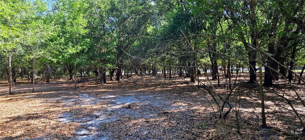 Active With Contract: $445,000 (7.50 acres)
