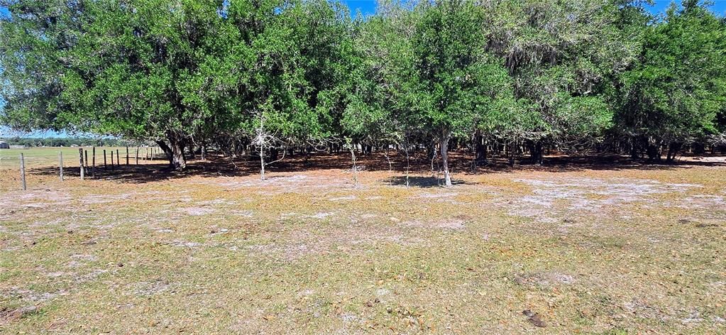 Active With Contract: $445,000 (7.50 acres)
