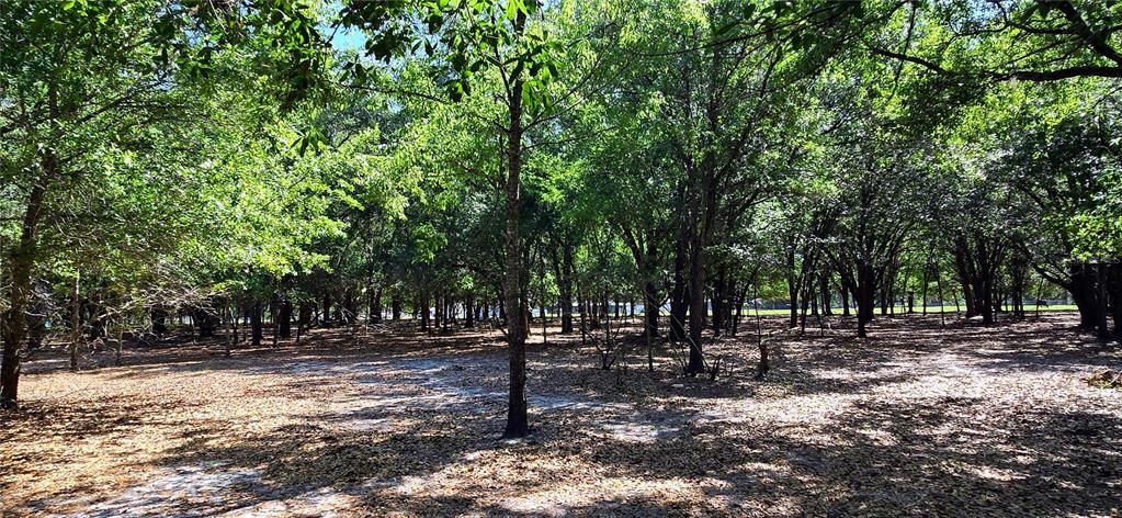 Active With Contract: $445,000 (7.50 acres)