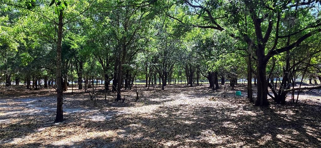 Active With Contract: $445,000 (7.50 acres)