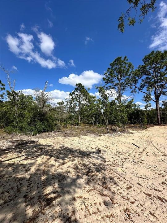 En Venta: $25,000 (0.29 acres)