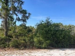 待售: $38,000 (1.00 acres)