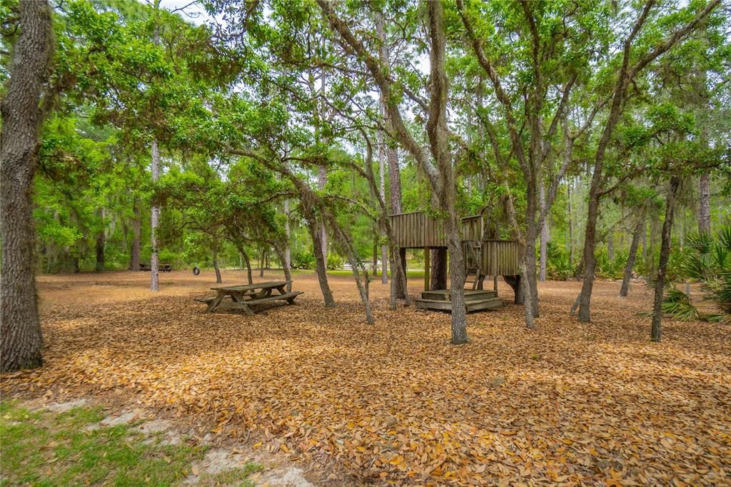 Activo con contrato: $425,000 (3 camas, 2 baños, 1804 Pies cuadrados)