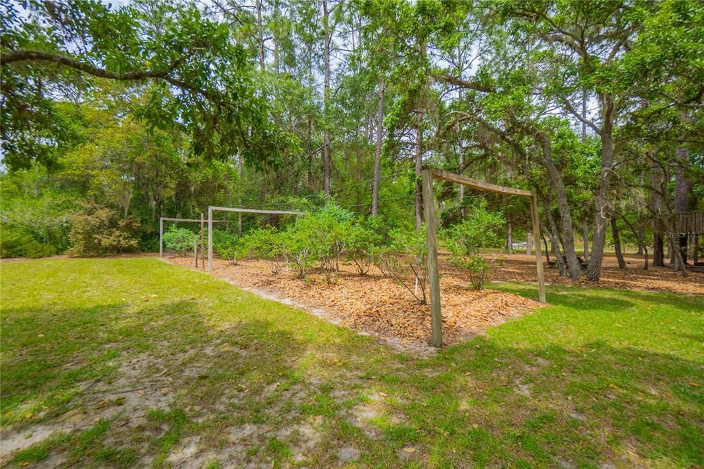 Activo con contrato: $425,000 (3 camas, 2 baños, 1804 Pies cuadrados)