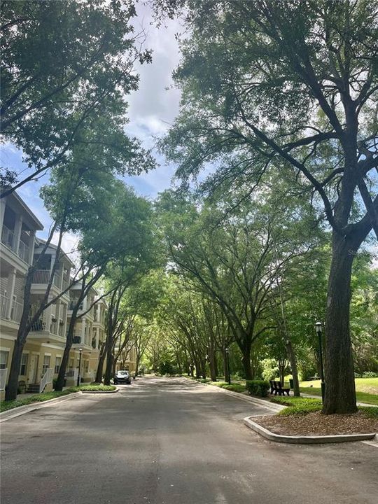 For Rent: $2,250 (3 beds, 3 baths, 1441 Square Feet)