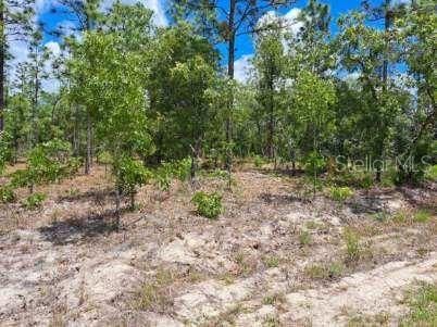 For Sale: $74,900 (1.12 acres)