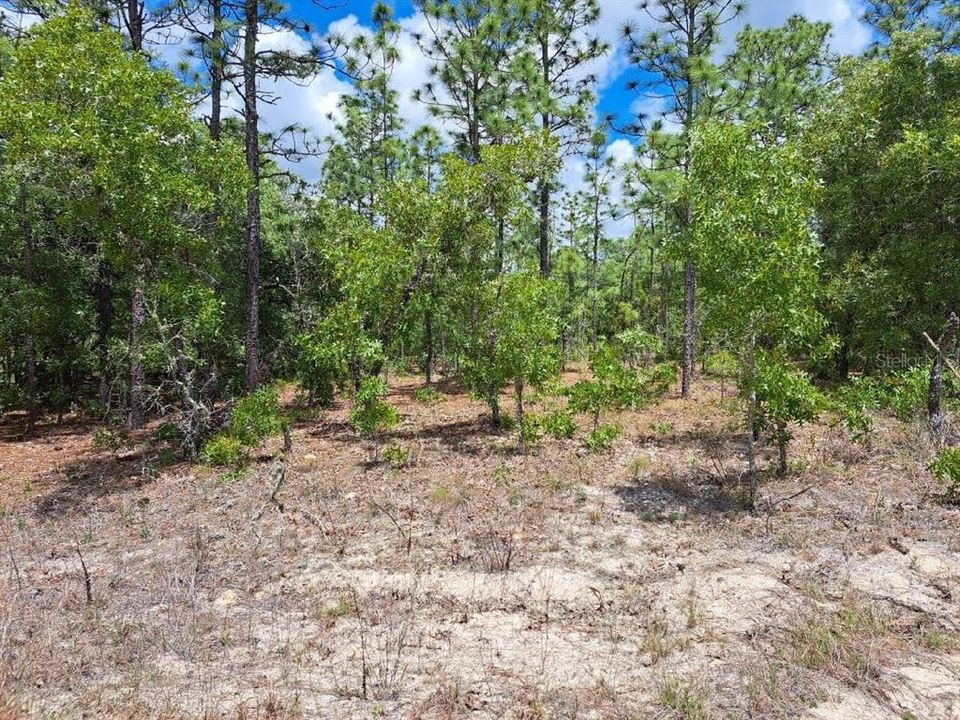 For Sale: $74,900 (1.12 acres)
