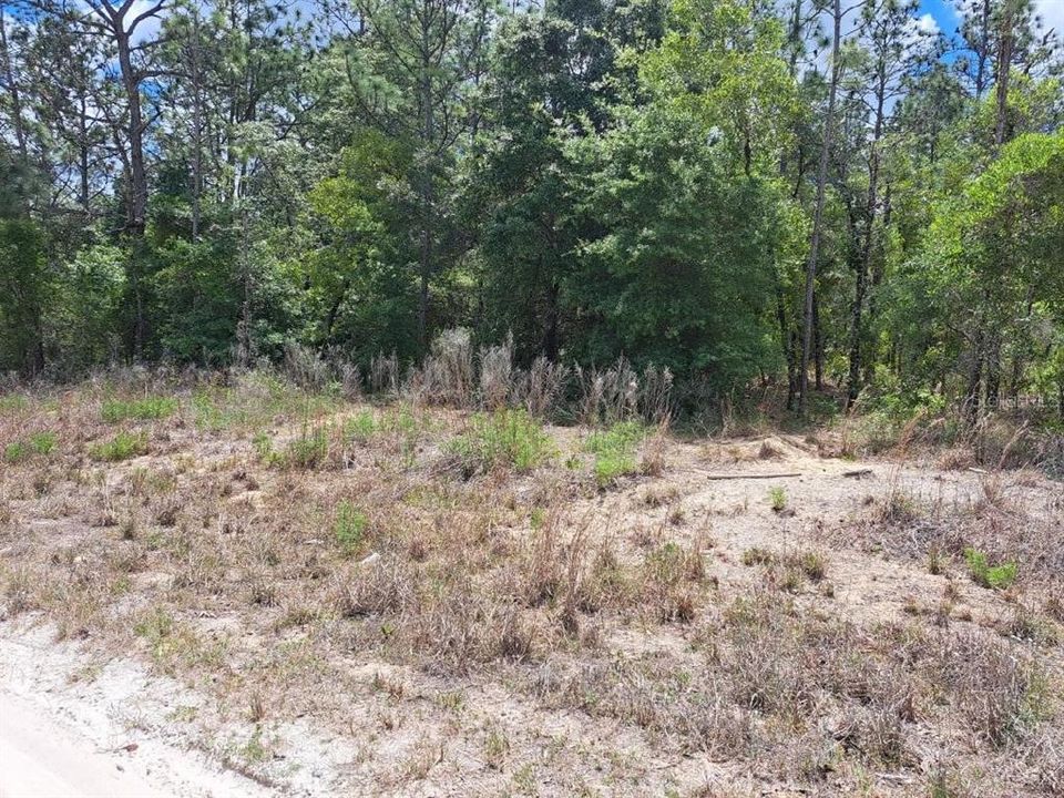 For Sale: $74,900 (1.01 acres)