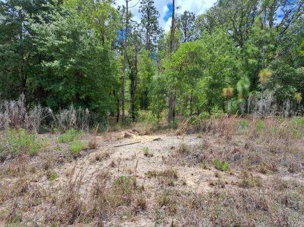 For Sale: $74,900 (1.01 acres)