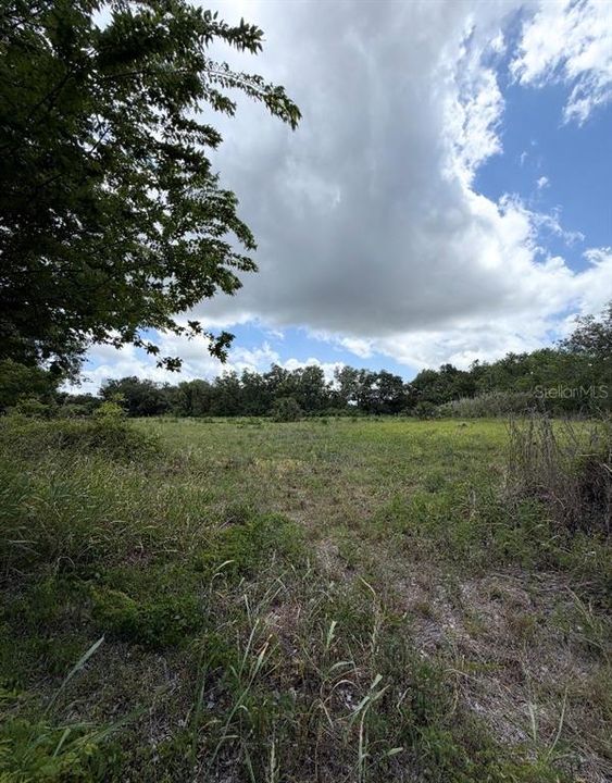 For Sale: $299,900 (4.31 acres)
