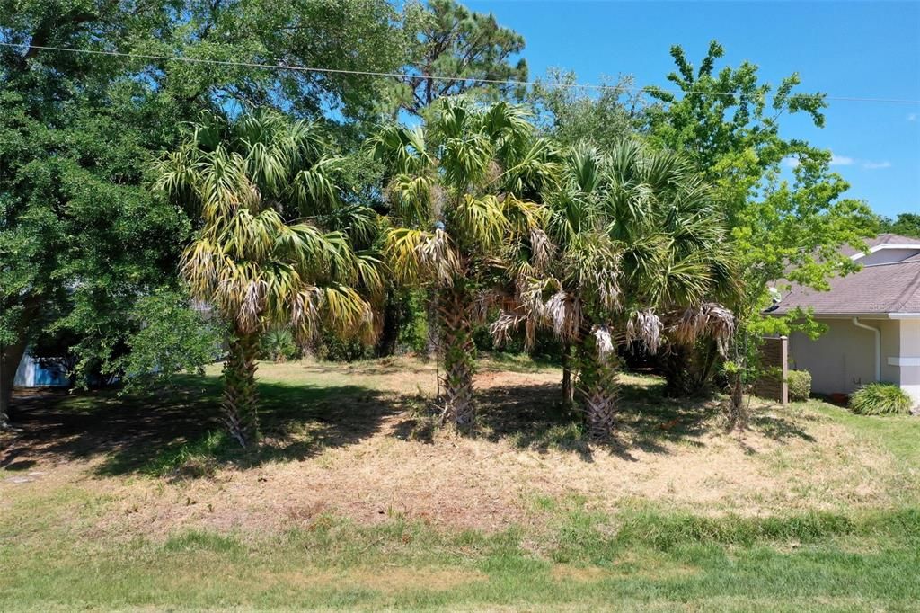 待售: $179,500 (0.17 acres)