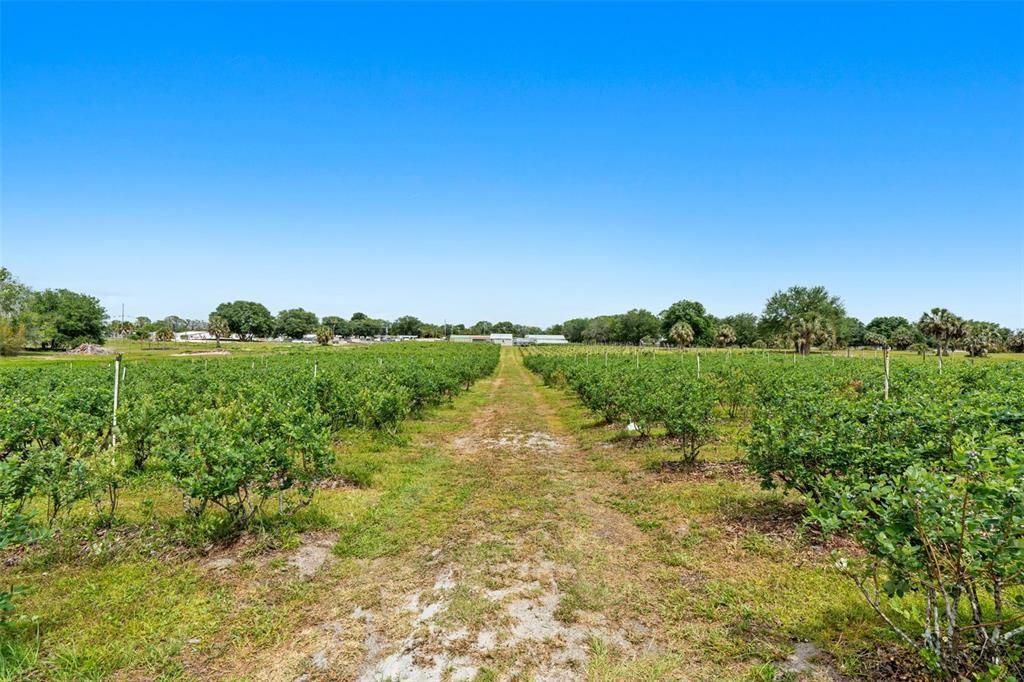 待售: $395,000 (4.99 acres)