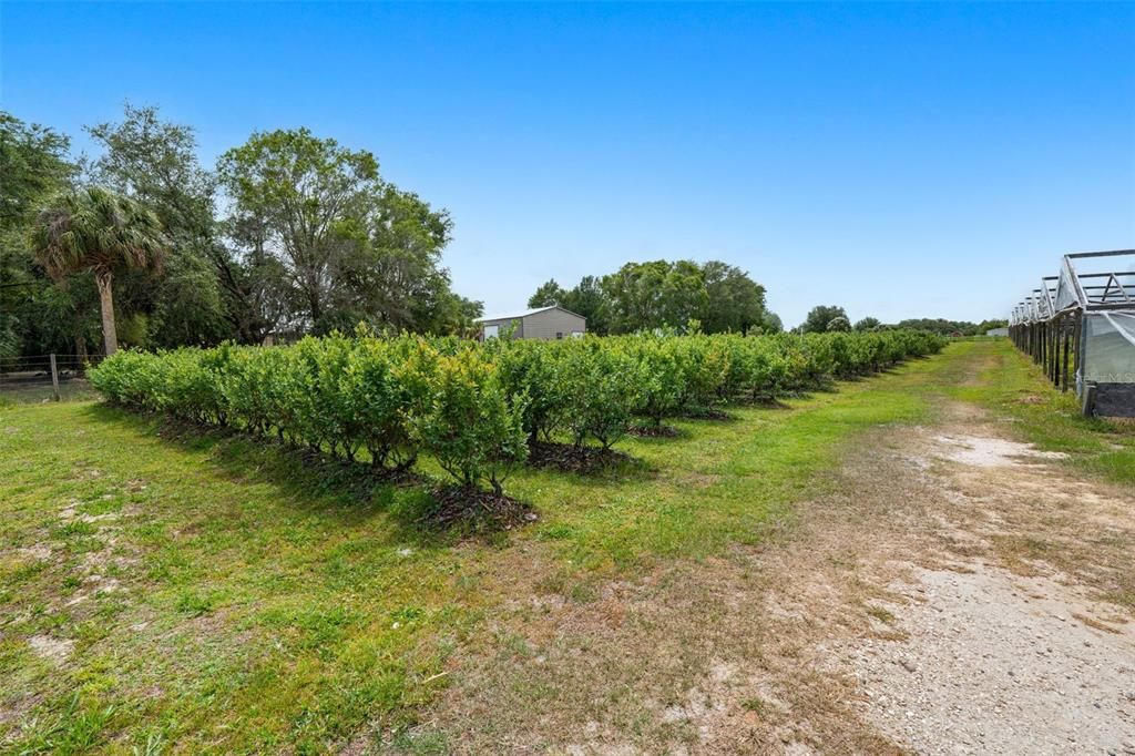 待售: $395,000 (4.99 acres)