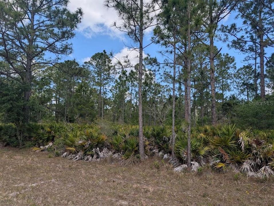 待售: $12,000 (0.50 acres)