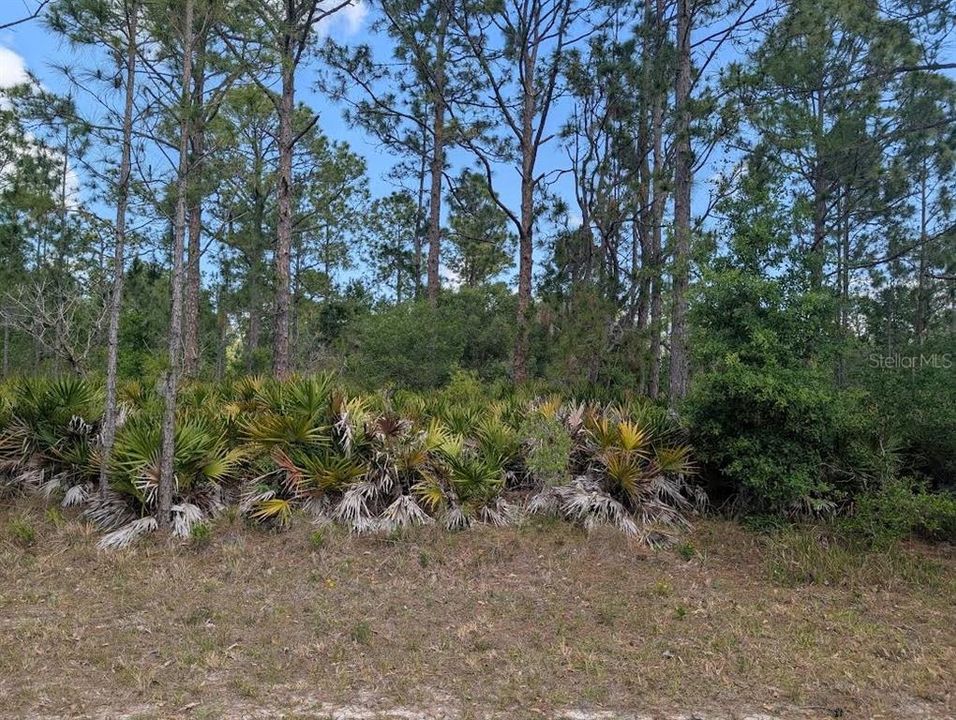 待售: $12,000 (0.50 acres)